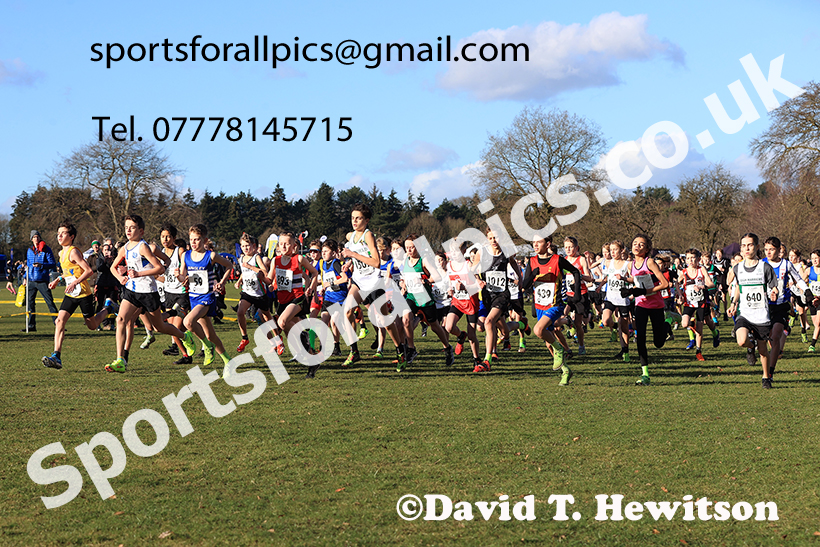 Boys under-13s 2025 Northern Cross Country Champs, Tatton Park, Knutsford, Cheshire. Photo: David T. Hewitson/Sports for All Pics